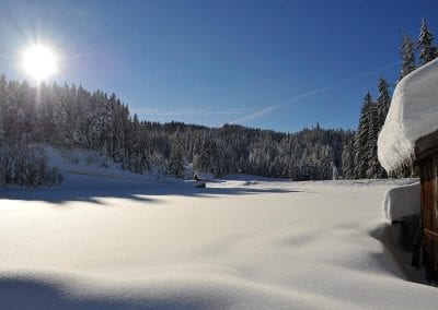 Seefeld im Winter