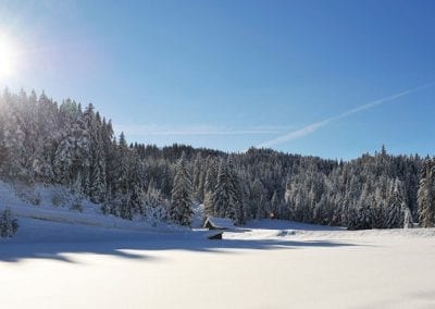 Seefeld im Winter